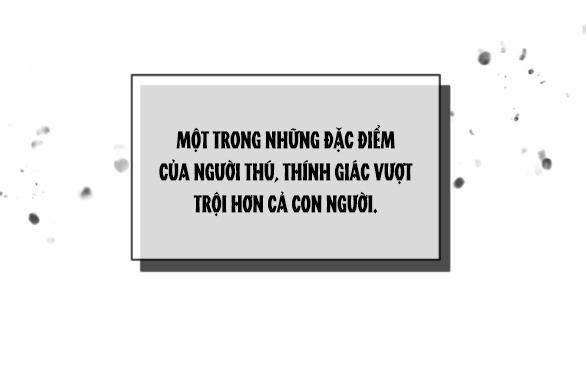 [18+] Chuyện Mèo Trắng Bị Ba Tước Báo Đen Ăn Thịt Chương 6 1 Trang 32