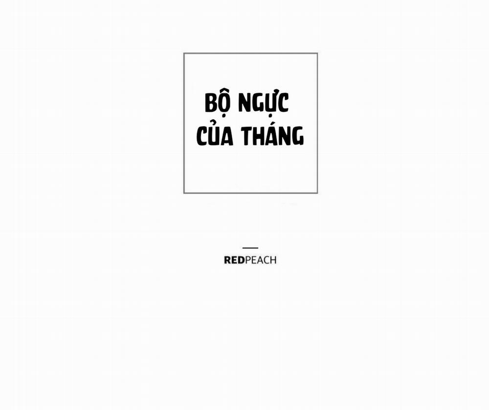 Bộ Ngực Của Tháng Chương 13 Trang 18