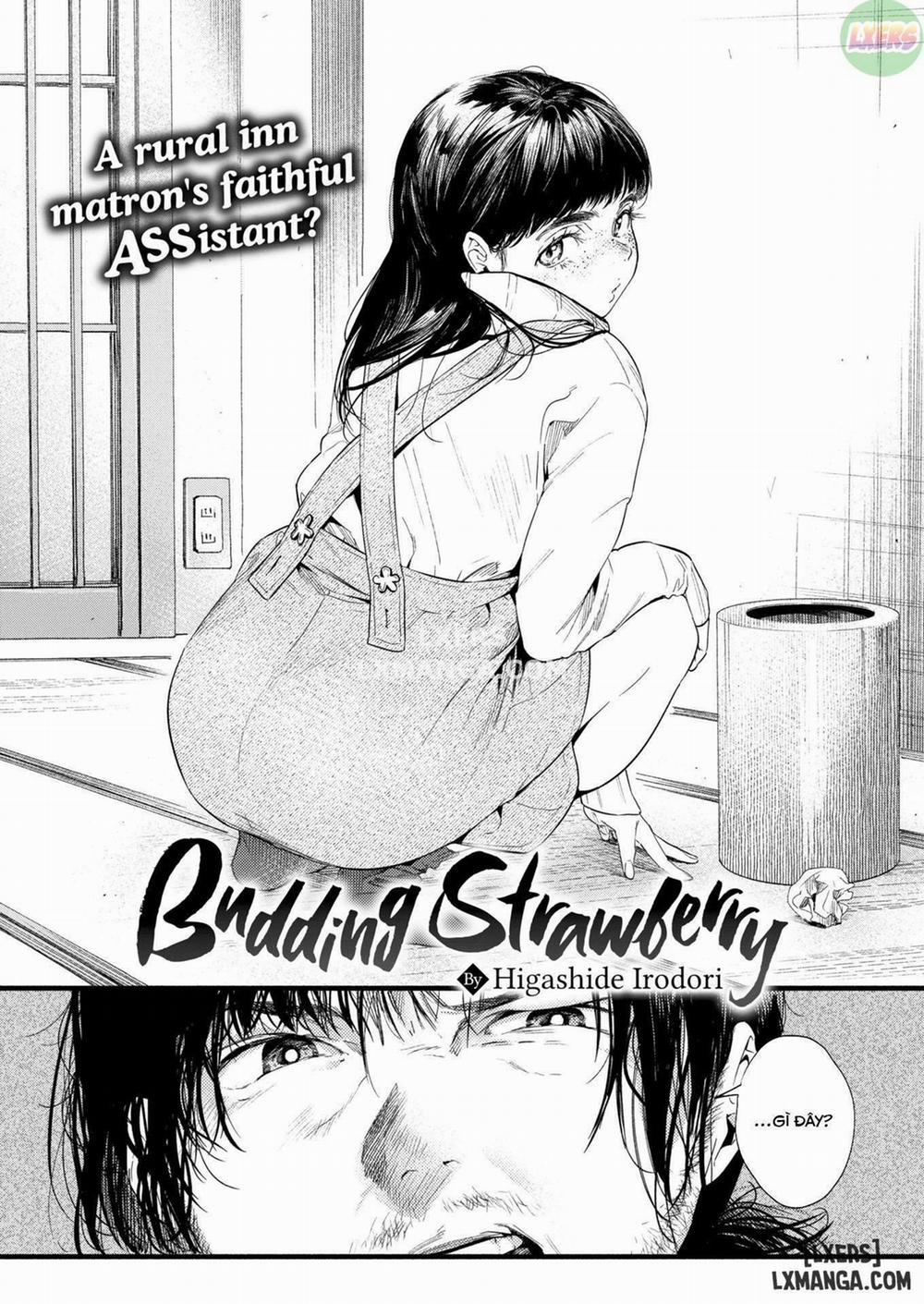 Budding Strawberry Chương Oneshot Trang 2