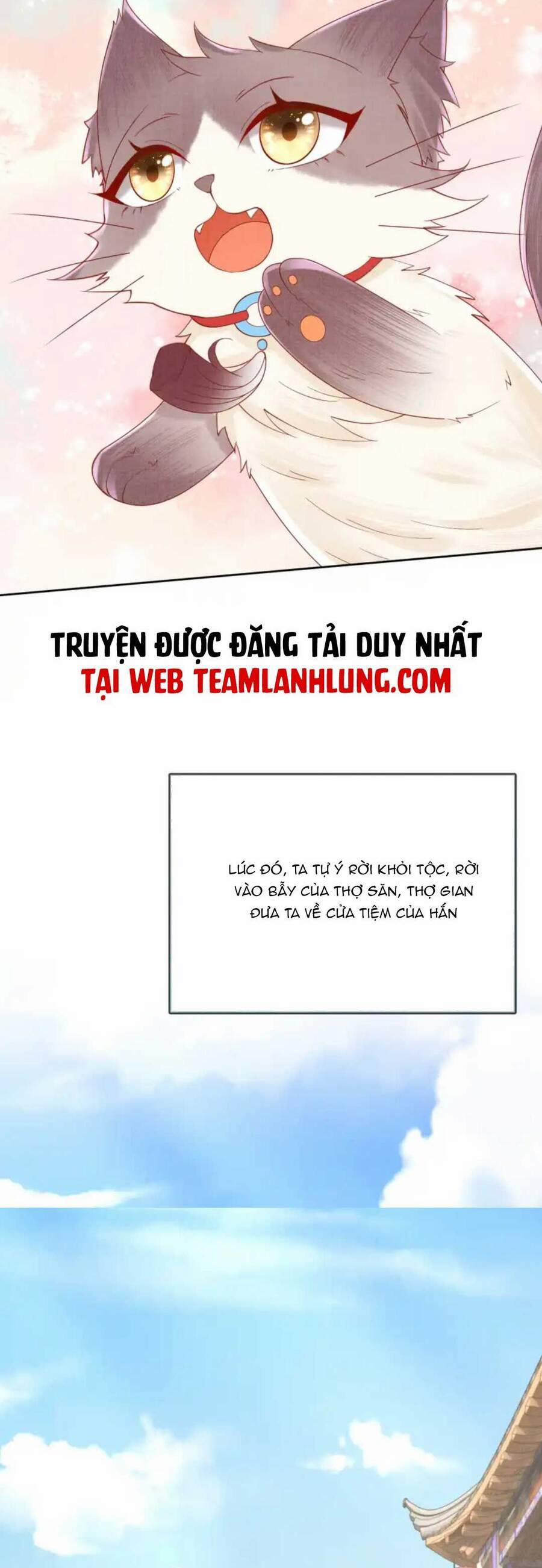 Các Đệ Tử Ai Cũng Nói Yêu Ta Chương 21 Trang 6