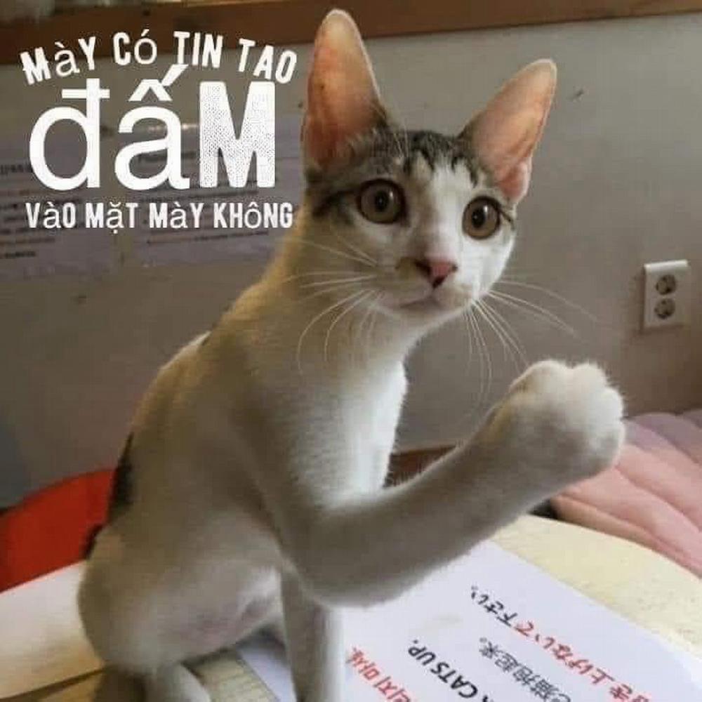 CẠM BẪY CỦA KẺ BIẾN THÁI Chương 2 Trang 1