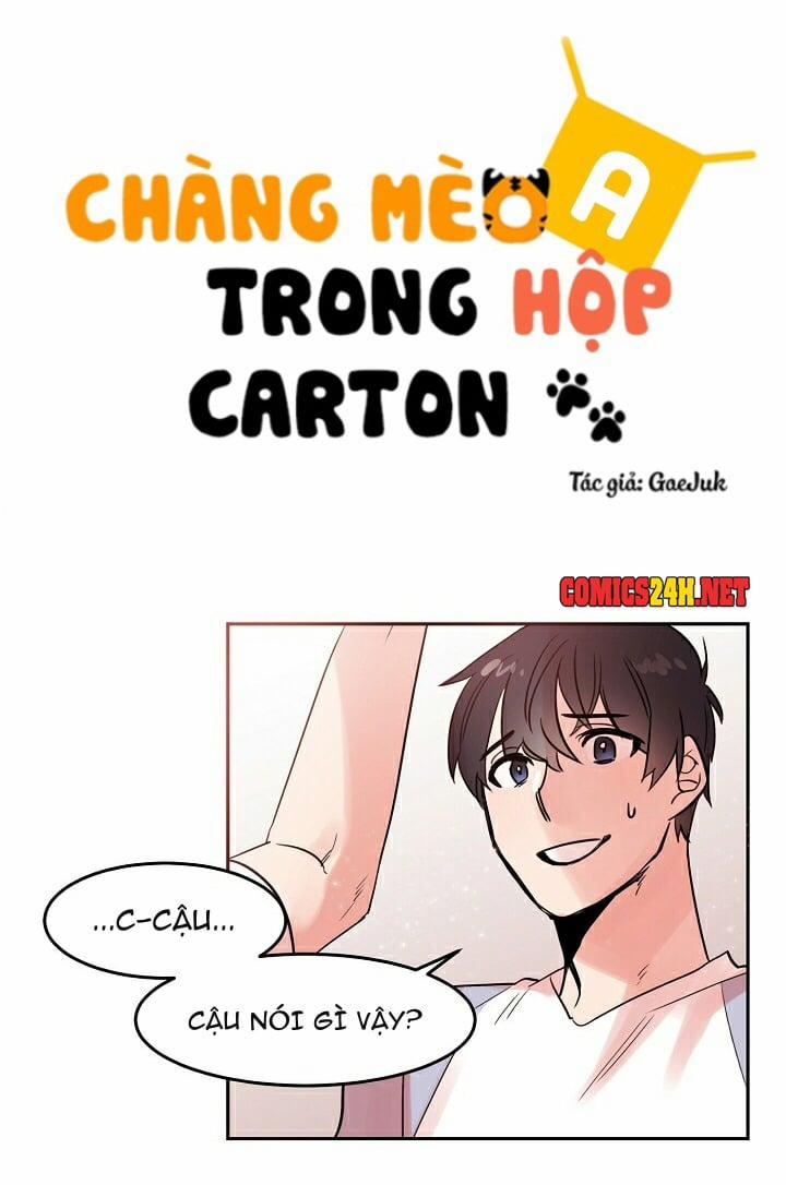 Chàng Mèo Trong Hộp Carton Chương 17 Trang 4