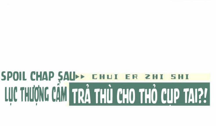 Chấp Sự Thỏ Cụp Tai Chương 8 Trang 47