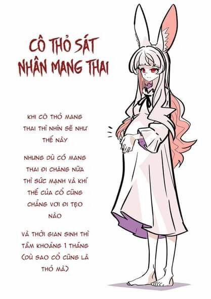 Cô Thỏ Sát Nhân Chương 3 Trang 3