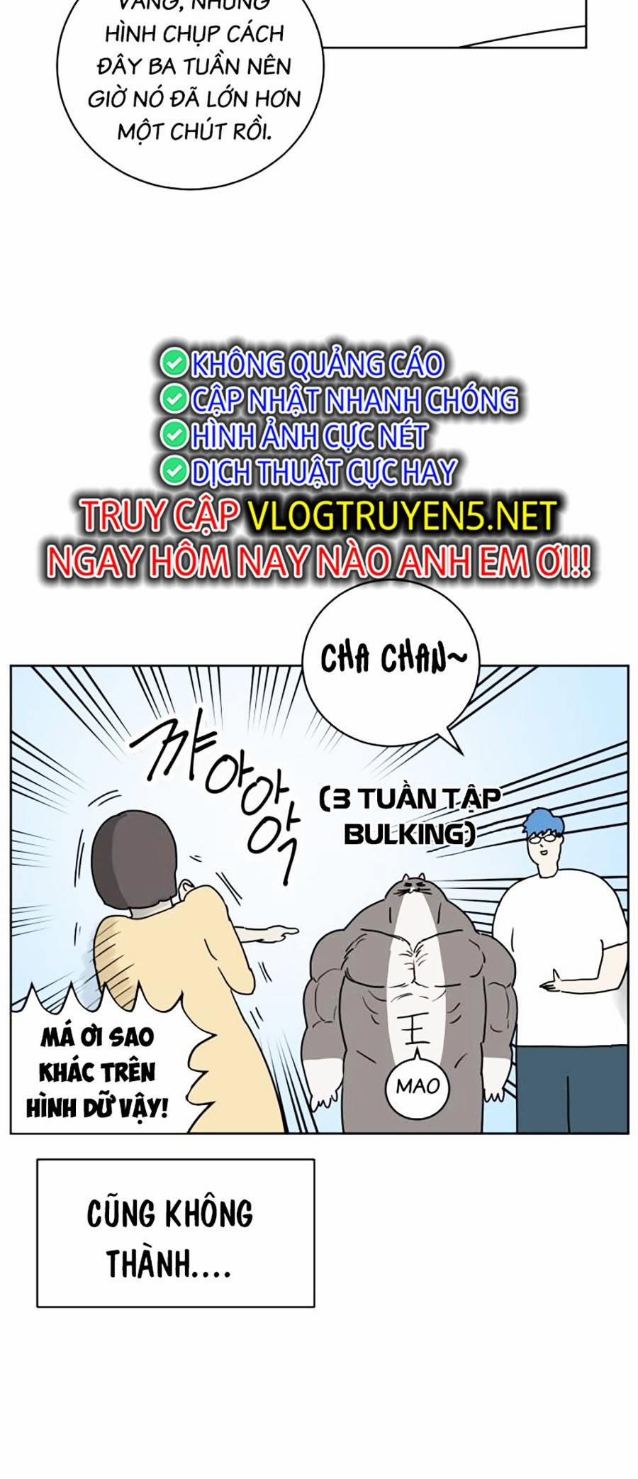 Con Mèo Đô Vật Của Tôi Chương 1 Trang 36