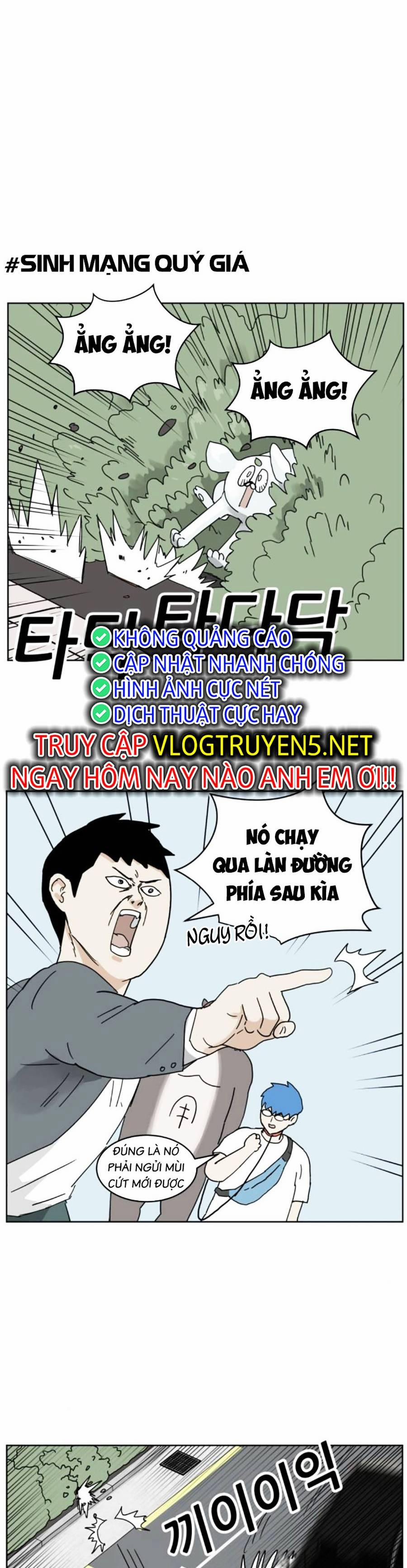 Con Mèo Đô Vật Của Tôi Chương 9 Trang 25