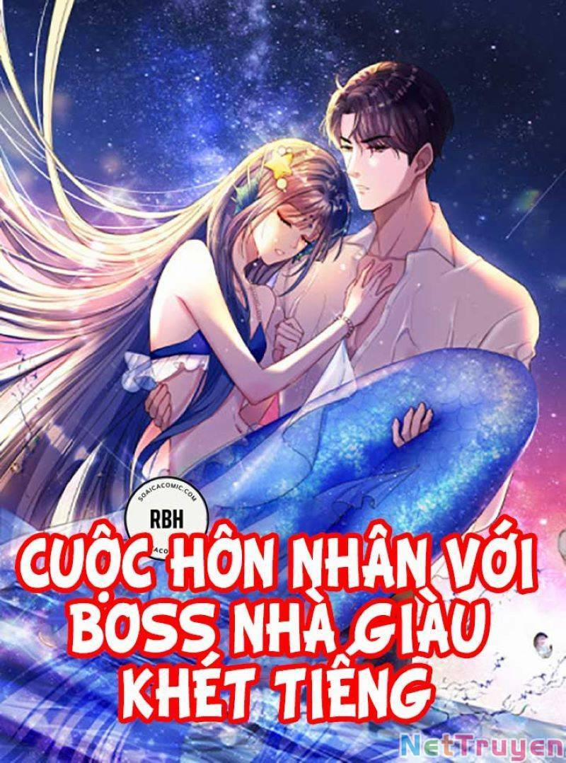 Cuộc Hôn Nhân Với Boss Nhà Giàu Khét Tiếng Chương 4 Trang 1