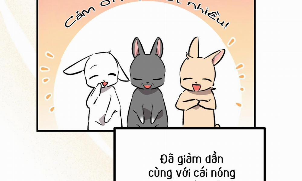 Đàn Thỏ Của Habibi Chương 55 Trang 3