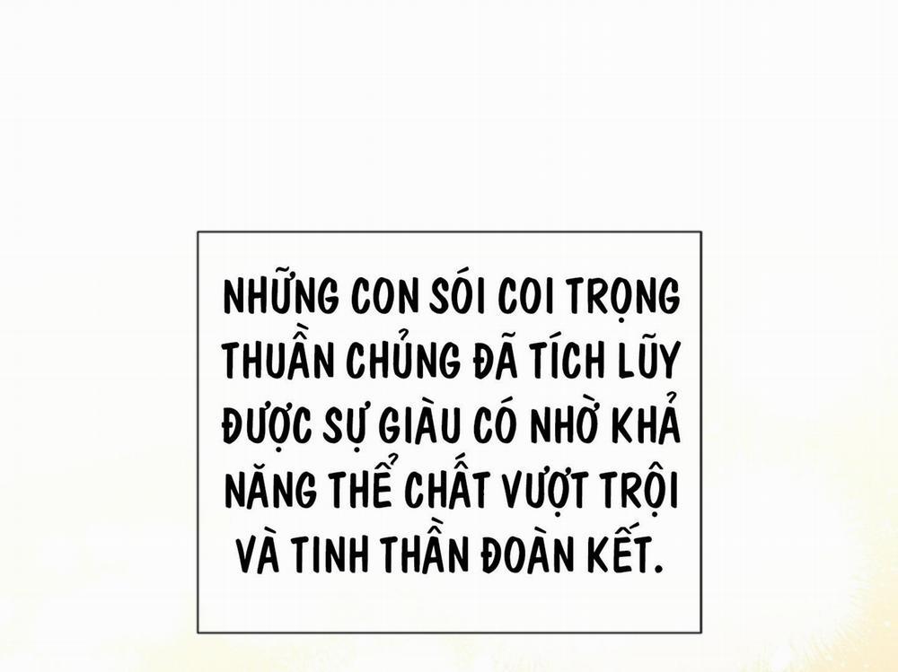 ĐỪNG ĐỤNG VÀO BÉ CÚN Chương 2 Trang 46