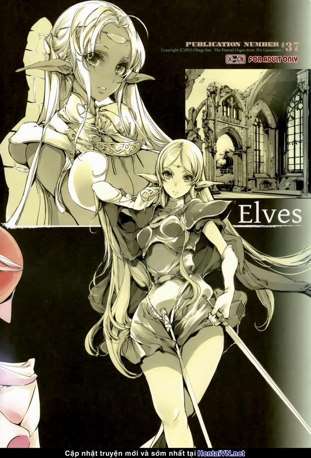 Elves (Record Of Lodoss War) Chương Oneshot Full Color Trang 41