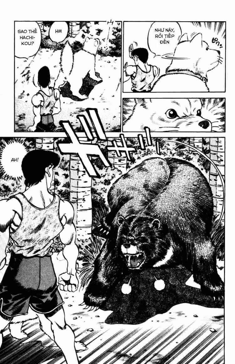 Hajime No Ippo Chương 229 Trang 17