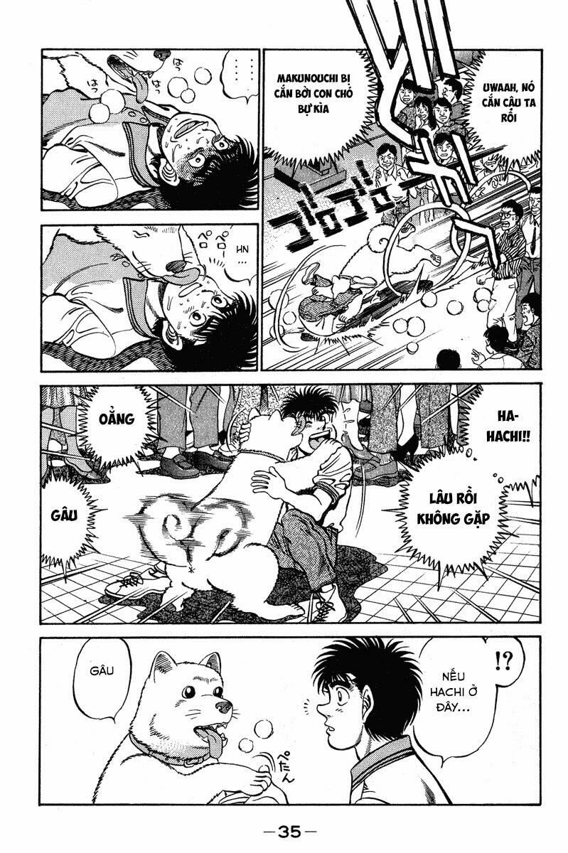 Hajime No Ippo Chương 234 Trang 13