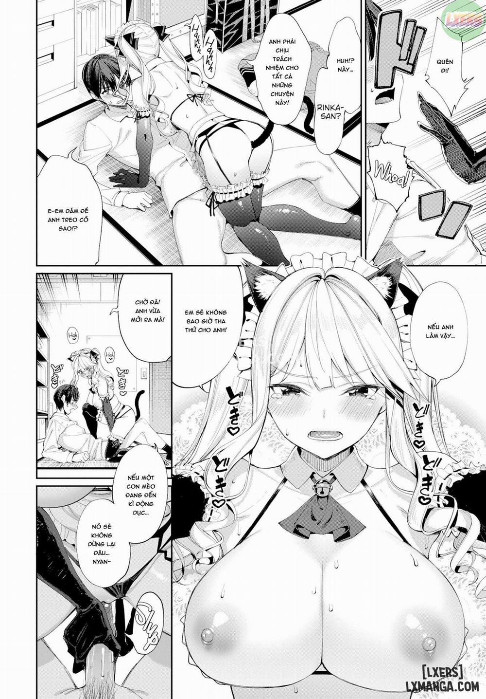 Hầu Gái Mèo & Bạn Gái Tsundere Chương Oneshot Trang 14