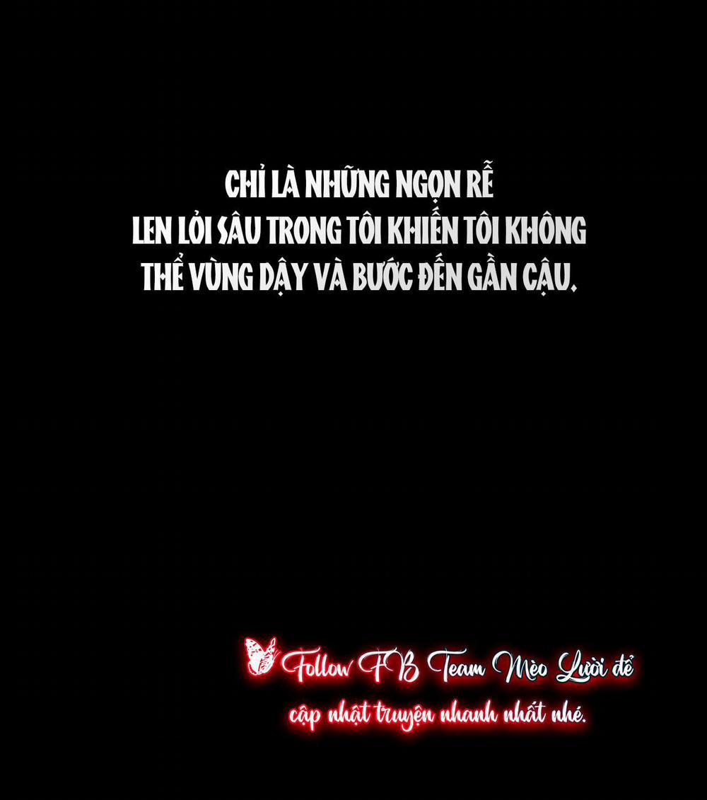 KÍCH HOẠT Chương 39 Trang 47