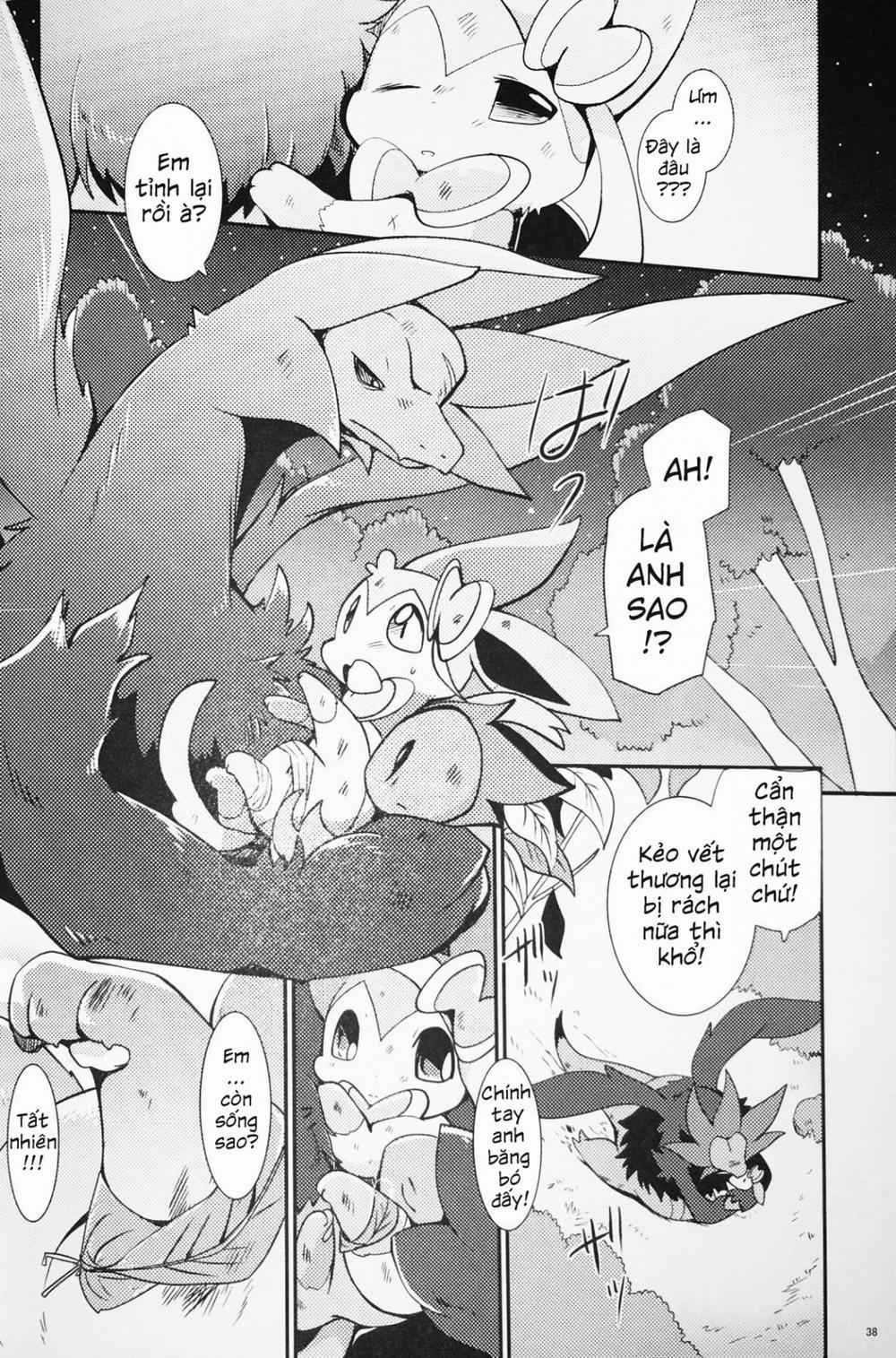 Mori no Kaibutsu to Chiisana Yousei (Pokemon) Chương Oneshot Trang 38