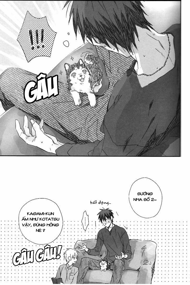 Mou Chotto Kono Mama (Kuroko no Basuke) Chương Oneshot Trang 17