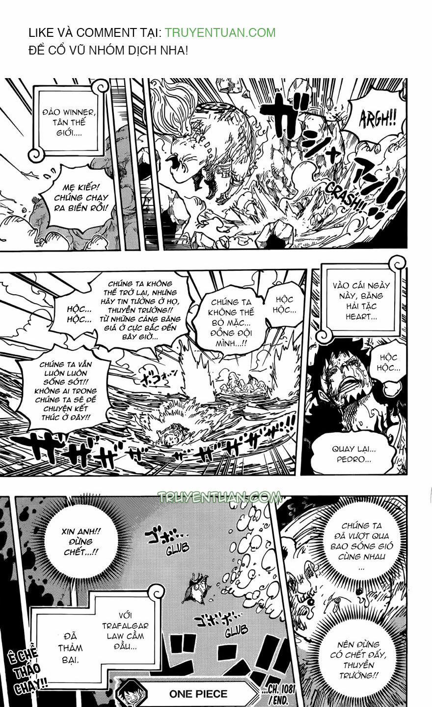 One Piece Chương 1081 Trang 14