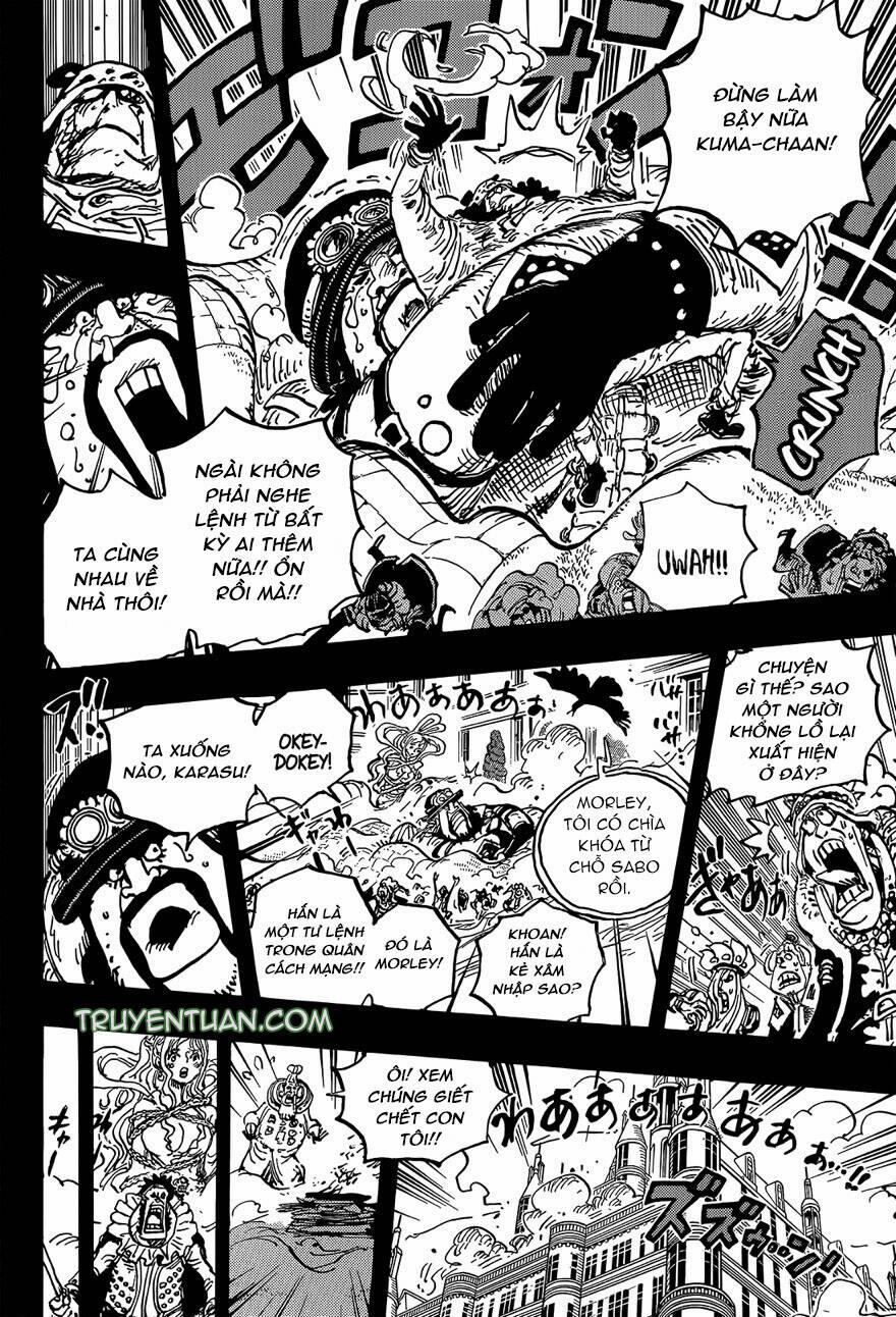 One Piece Chương 1084 Trang 14