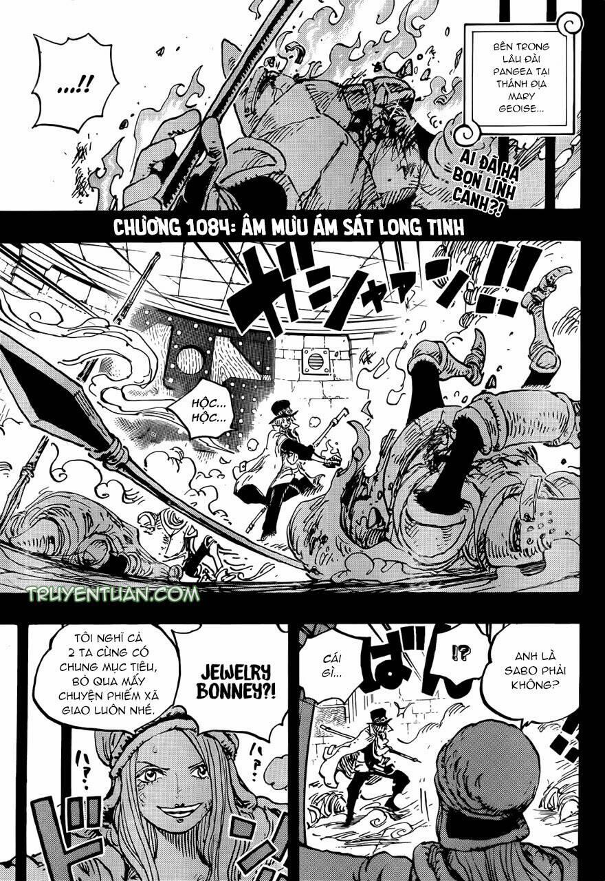 One Piece Chương 1084 Trang 3