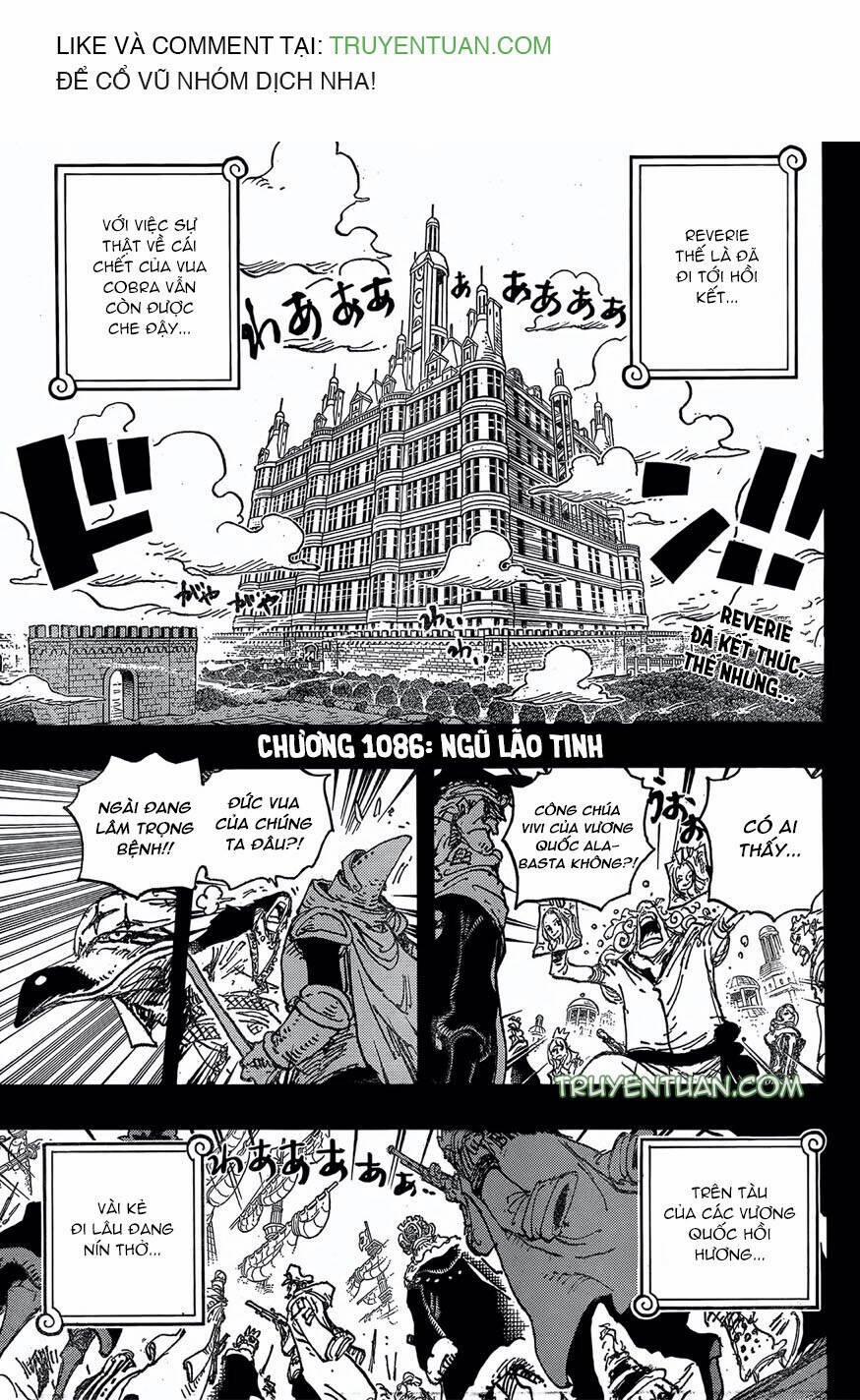 One Piece Chương 1086 Trang 3