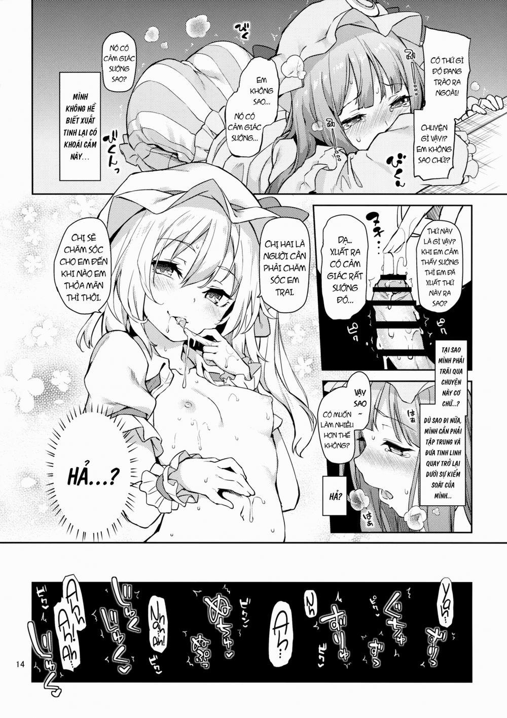 Osewa Shinaide Flan Onee-chan! (Touhou) Chương Oneshot Trang 16