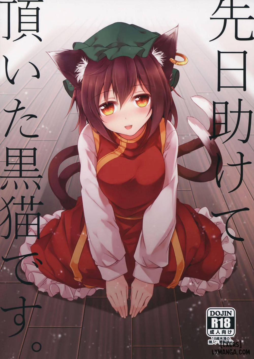 Senjitsu Tasukete Itadaita Kuroneko desu Chương Oneshot Trang 1