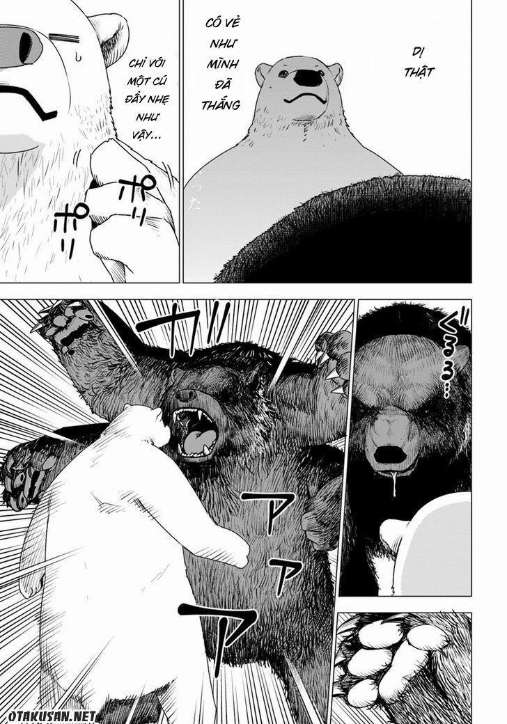 Shirokuma Tensei Chương 2 Trang 7