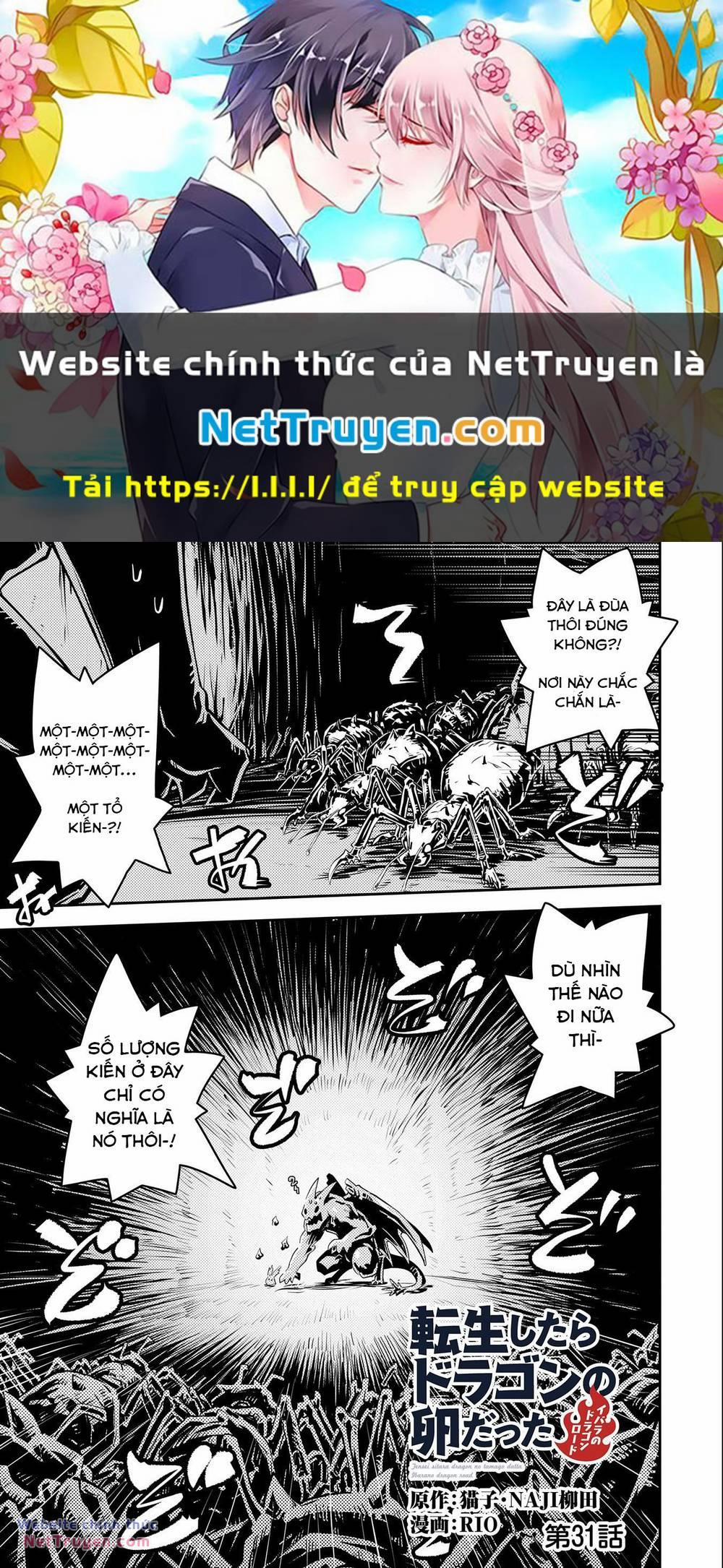 Tensei Shitara Dragon No Tamago Datta Chương 31 Trang 1