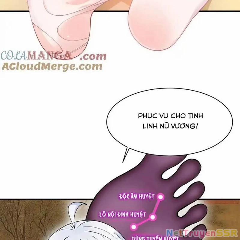 Trời Sinh Mị Cốt, Ta Bị Đồ Nhi Yandere Để Mắt Tới Chương 24 Trang 51